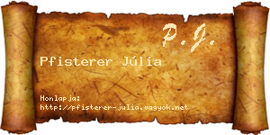 Pfisterer Júlia névjegykártya